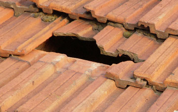 roof repair Harcombe, Devon
